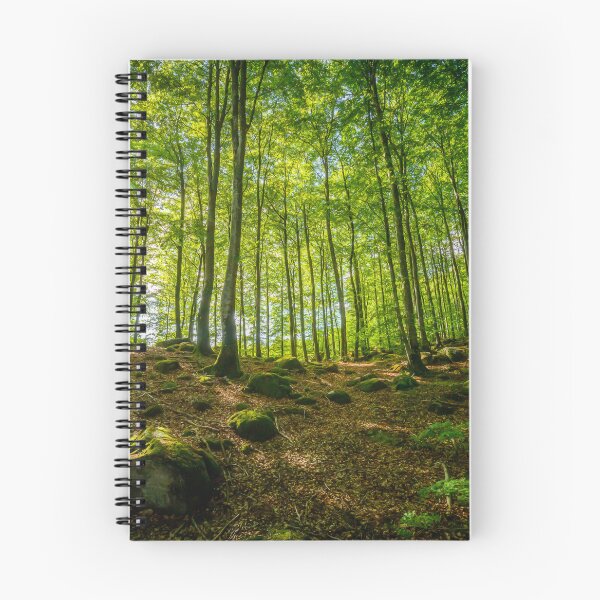 Item preview, Beech Tree Forest In Sunlight designed and sold by Nicklas81.