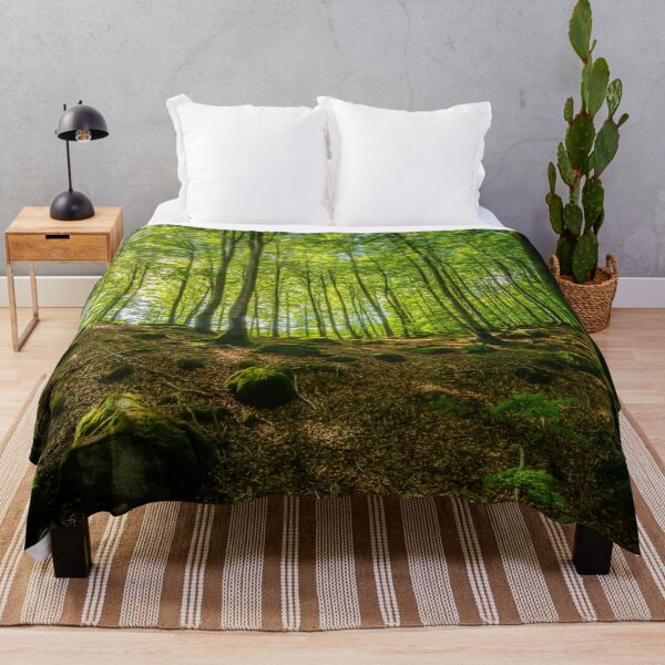 Item preview, Beech Tree Forest In Sunlight designed and sold by Nicklas81.