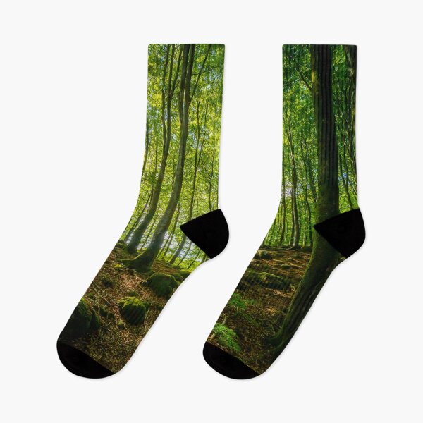 Item preview, Beech Tree Forest In Sunlight designed and sold by Nicklas81.