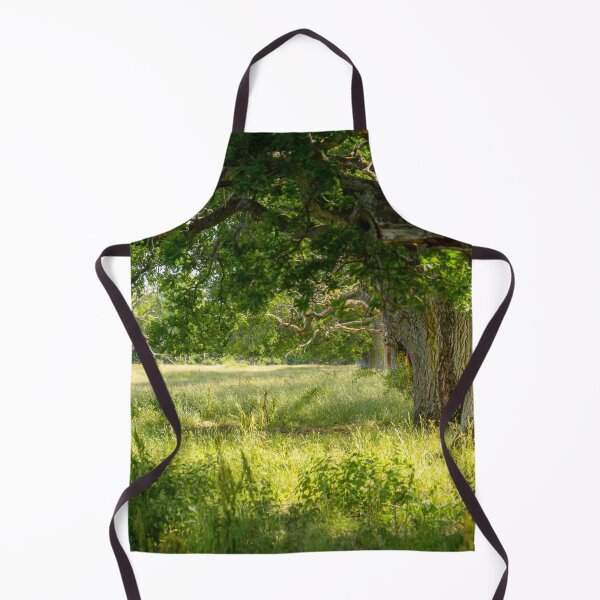 Item preview, Old Oak Trees In Sunlight designed and sold by Nicklas81.