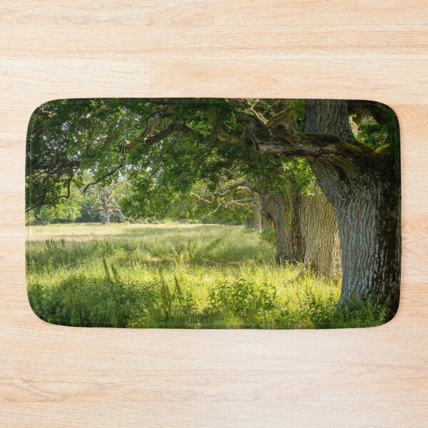 Item preview, Old Oak Trees In Sunlight designed and sold by Nicklas81.