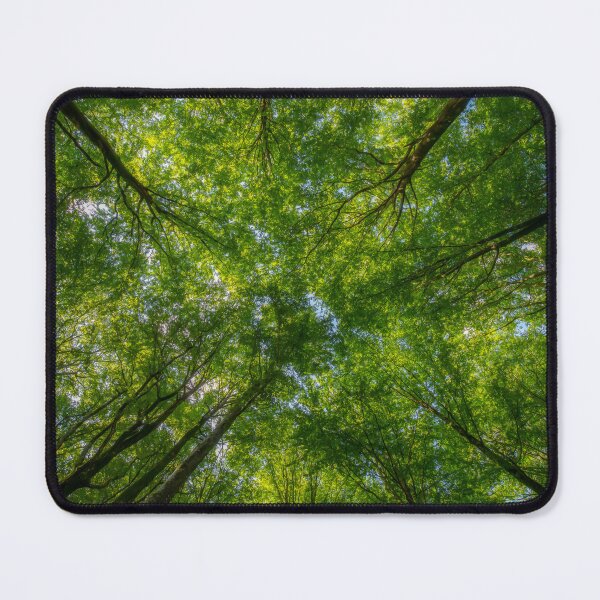 Item preview, Beech Forest Canopy designed and sold by Nicklas81.