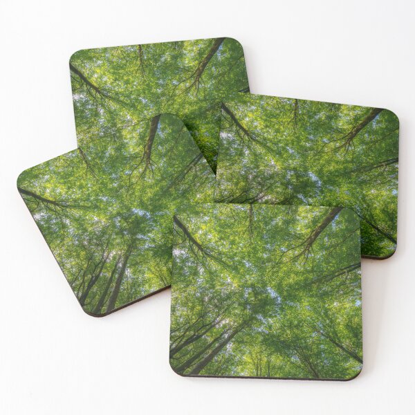 Item preview, Beech Forest Canopy designed and sold by Nicklas81.