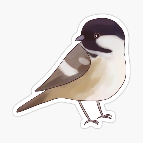 4x Round Stickers 10 cm - Great Tit Small Bird #45208