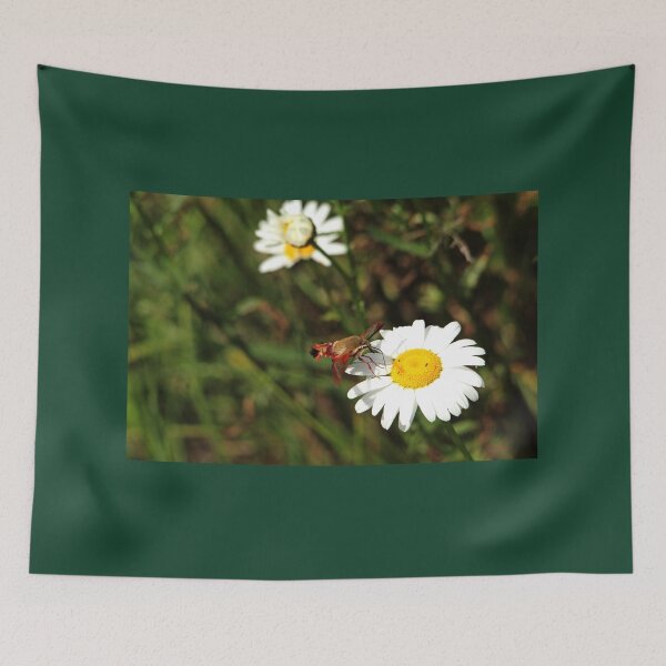Item preview, The Moth And The Daisy designed and sold by Debbie Oppermann.