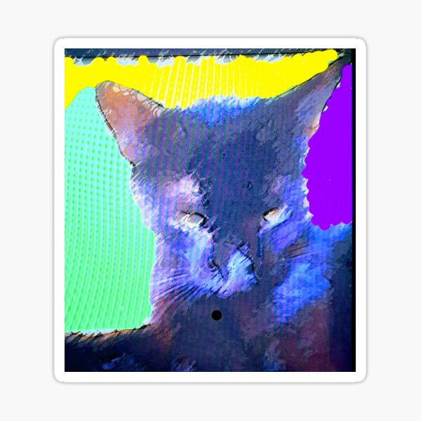 cat, cat Kittycat Sticker