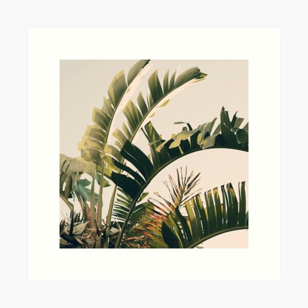 Item preview, Tropic Sky designed and sold by ALICIA BOCK.