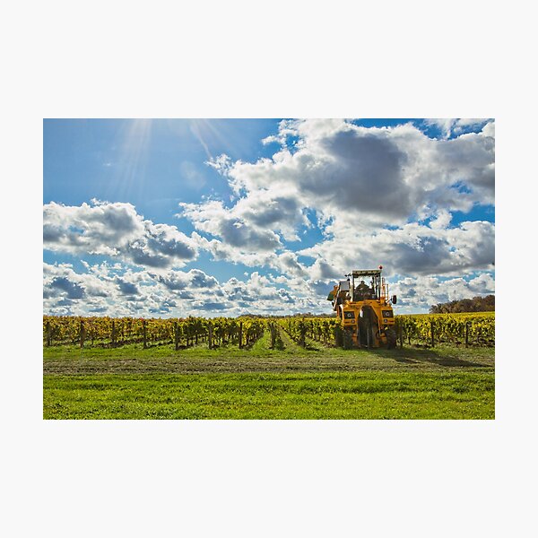 Item preview, Niagara at Work in the Vineyard designed and sold by Marilyn Cornwell.
