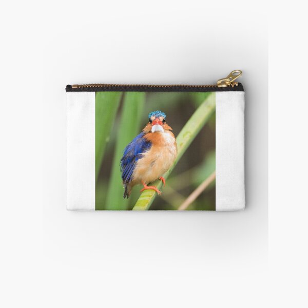 Item preview, Malachite Kingfisher designed and sold by ccullen222.