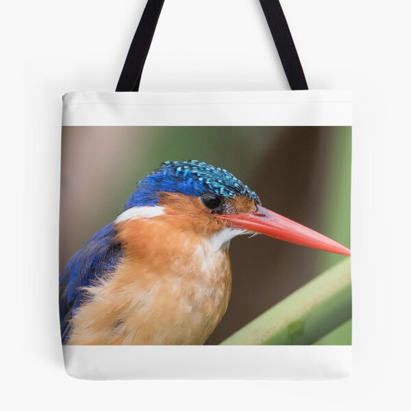 Item preview, Malachite Kingfisher designed and sold by ccullen222.