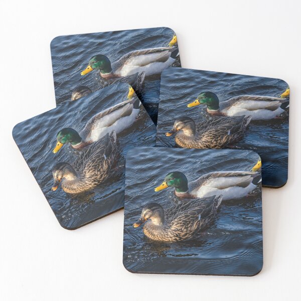 Item preview, Skipton designed and sold by jasminewang.