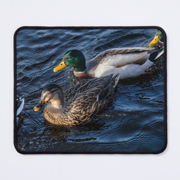 Item preview, Skipton designed and sold by jasminewang.