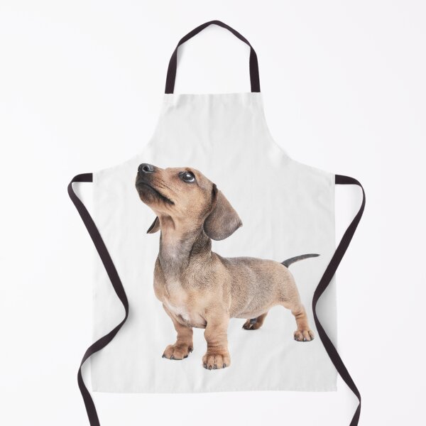 Item preview, Dachshund Standing Tall designed and sold by ernest123.
