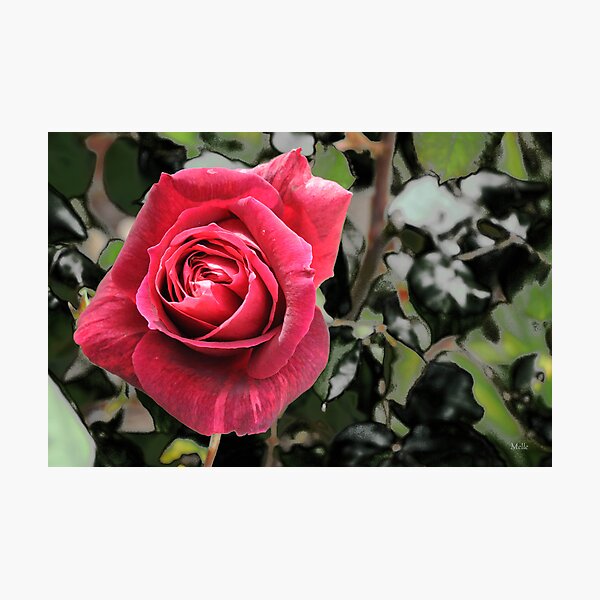 Item preview, Heaven Scent: Caz's Rose designed and sold by Melle.