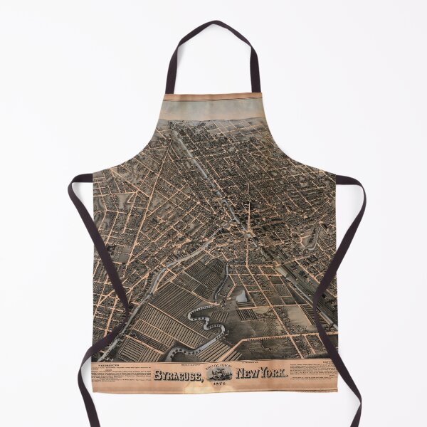 Item preview, Syracuse, New York (1874) designed and sold by allhistory.