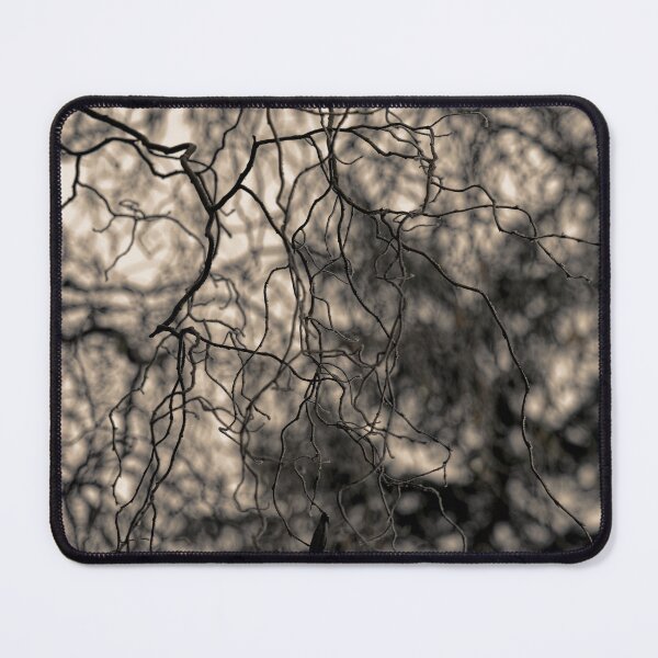 Aperçu de l'œuvre Branches de saule tire-bouchon : motif abstrait créée et vendue par Stephen Frost.