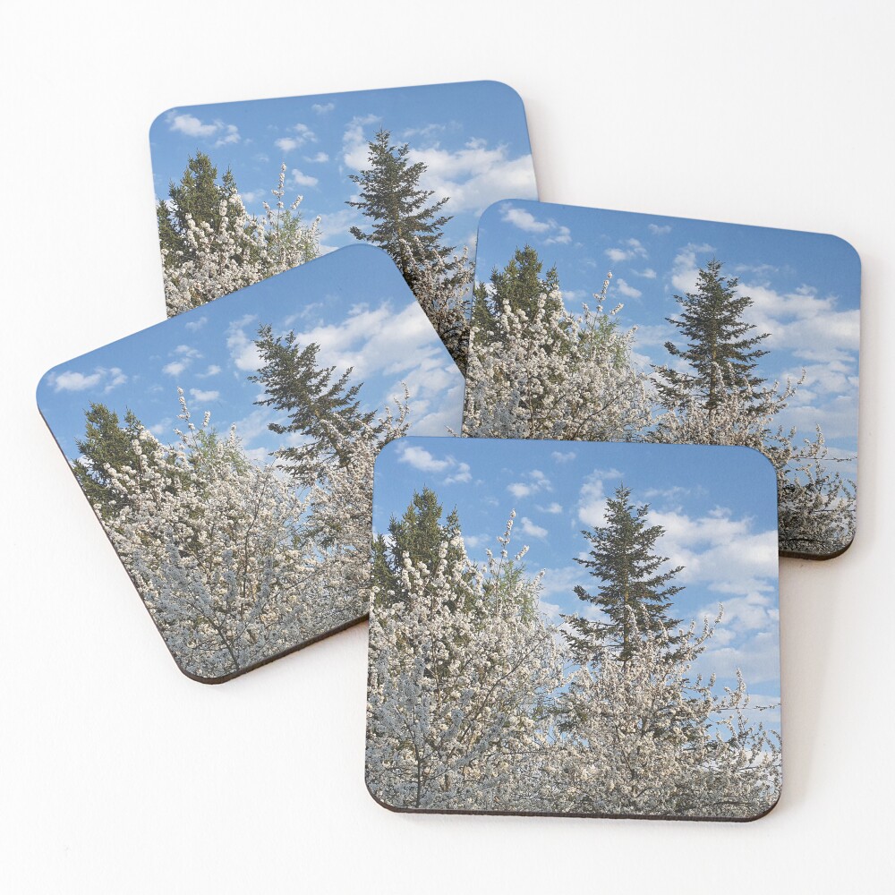 Item preview, Coasters (Set of 4) designed and sold by zerinaf.