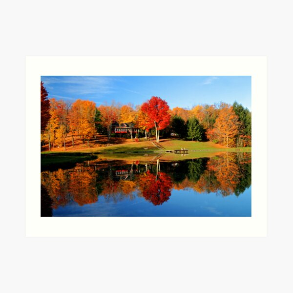Summer Home Art Print