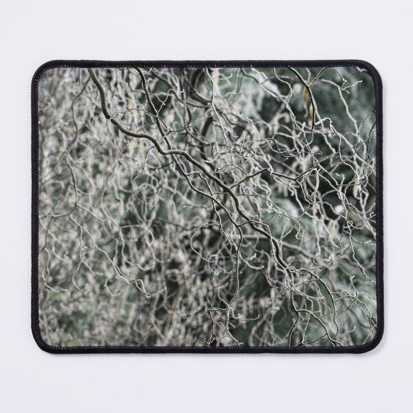 Item preview, Corkscrew Willow Branches: abstract pattern designed and sold by Stephen Frost.