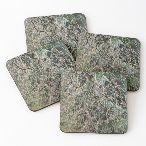 Item preview, Corkscrew Willow Branches: abstract pattern designed and sold by Stephen Frost.