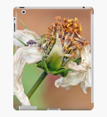 Flower, white flower, fly, insect, macro, photo-macro. "Destructured flower and little fly" iPad Case/Skin