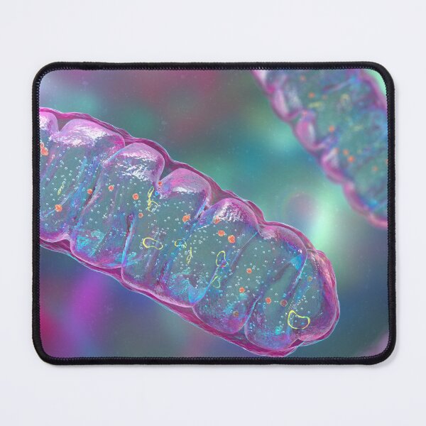 Item preview, Mitochondria, a membrane-enclosed cellular organelles designed and sold by Kateryna Kon.