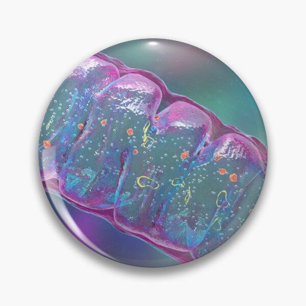 Item preview, Mitochondria, a membrane-enclosed cellular organelles designed and sold by Kateryna Kon.