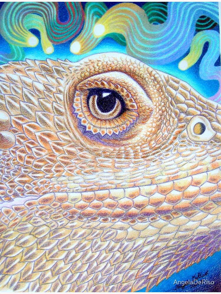 Dragon Star, Bearded Dragon Art by AngelaDeRiso