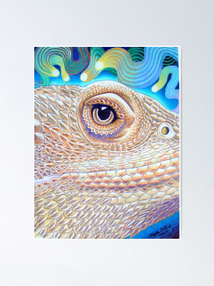 Alternate view of Dragon Star, Bearded Dragon Art Poster