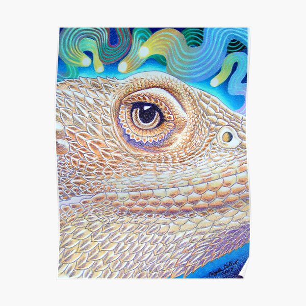 Dragon Star, Bearded Dragon Art Poster