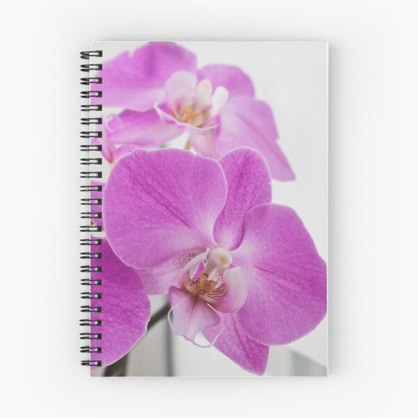Artikelvorschau, Fuchsiafarbene Phalaenopsis-Orchidee entworfen und verkauft von minneyael.