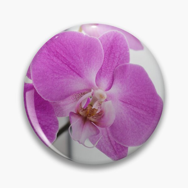 Item preview, Fuchsia colored phalaenopsis orchid designed and sold by minneyael.