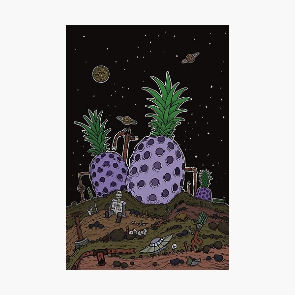 Aperçu de l'œuvre Ananas dans l'espace créée et vendue par Michaela Malcomess.