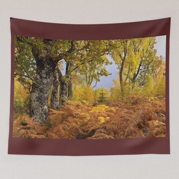Item preview, Loch Rannoch Forest in Autumn, Perthshire, Scotland. designed and sold by PhotosEcosse.