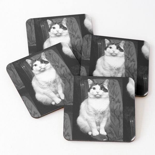Item preview,  r353/ New Finition nov 2022 " The " Pirate " un Chat love - Canon eos 5 28-70 mm f.2.8 avec Studio Portable et 3 Boites à Lumière Okaio by Olavia Olao designed and sold by o.okaïo.