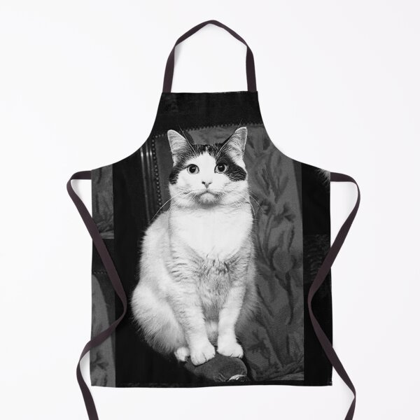 Item preview,  r353/ New Finition nov 2022 " The " Pirate " un Chat love - Canon eos 5 28-70 mm f.2.8 avec Studio Portable et 3 Boites à Lumière Okaio by Olavia Olao designed and sold by o.okaïo.