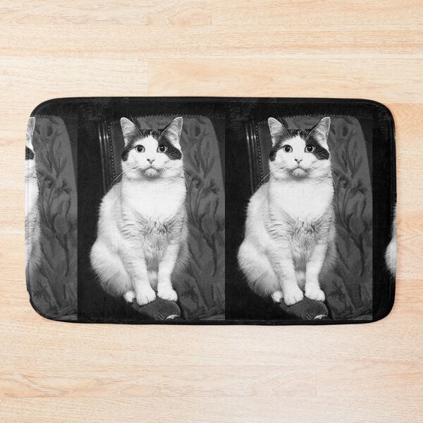Item preview, r353/ New Finition nov 2022 " The " Pirate " un Chat love - Canon eos 5 28-70 mm f.2.8 avec Studio Portable et 3 Boites à Lumière Okaio by Olavia Olao designed and sold by o.okaïo.