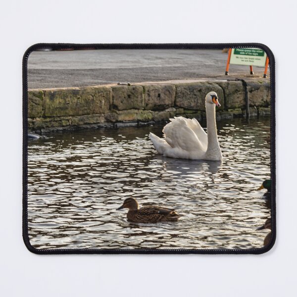 Item preview, Skipton-Swan and ducks designed and sold by jasminewang.