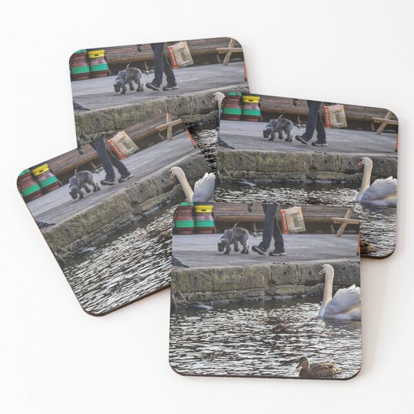Item preview, Skipton-Swan, duck,pigeon and dog,.. designed and sold by jasminewang.