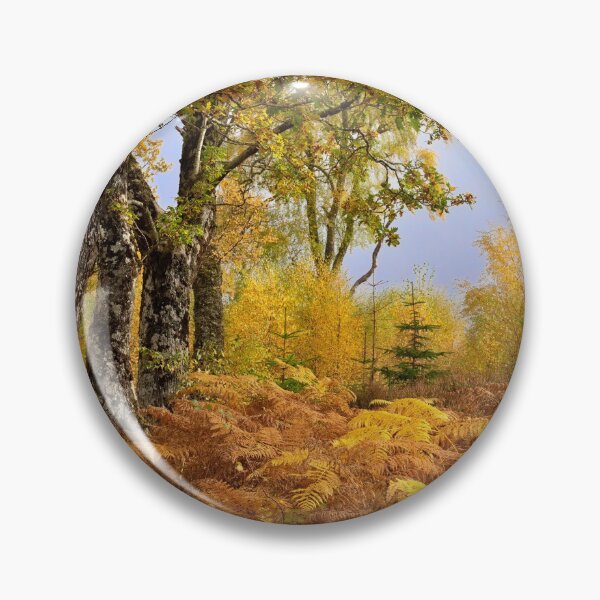 Item preview, Loch Rannoch Forest in Autumn, Perthshire, Scotland. designed and sold by PhotosEcosse.