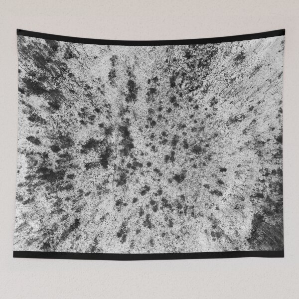 Item preview, Morass winterview. Pitkajarvi Seitseminen bw designed and sold by Jouko Lehto Photography.