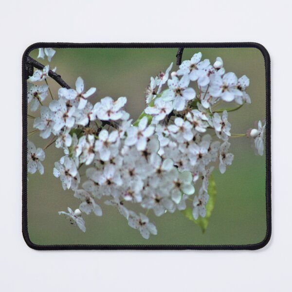 Item preview, Blossom Heart designed and sold by craftsbydaphy.