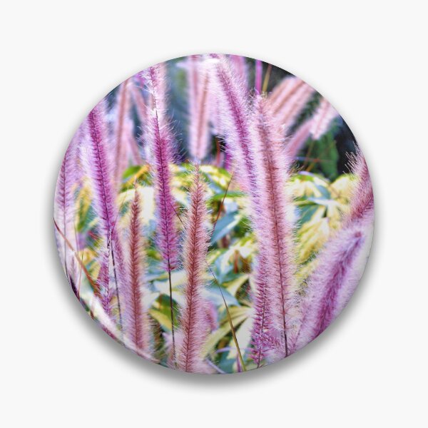 Item preview, Chinese Fountain Grass designed and sold by What I See by Dawne.