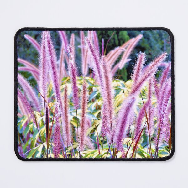 Item preview, Chinese Fountain Grass designed and sold by What I See by Dawne.
