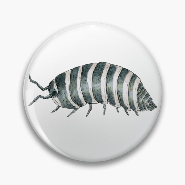 Item preview, Armadillidium maculatum- Zebra Isopod designed and sold by paintedpansy.