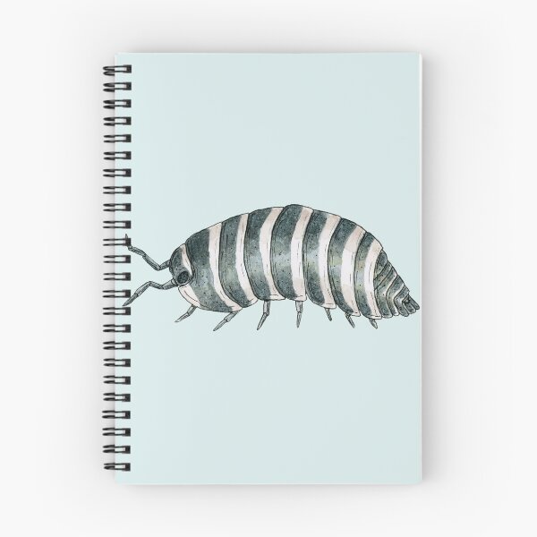 Item preview, Armadillidium maculatum- Zebra Isopod designed and sold by paintedpansy.