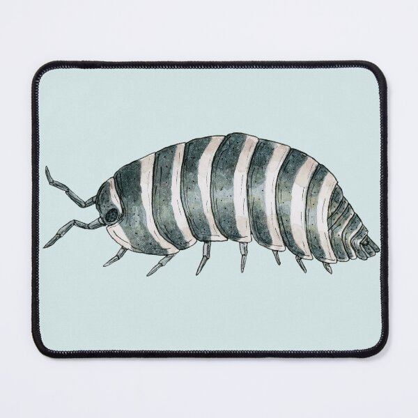 Item preview, Armadillidium maculatum- Zebra Isopod designed and sold by paintedpansy.