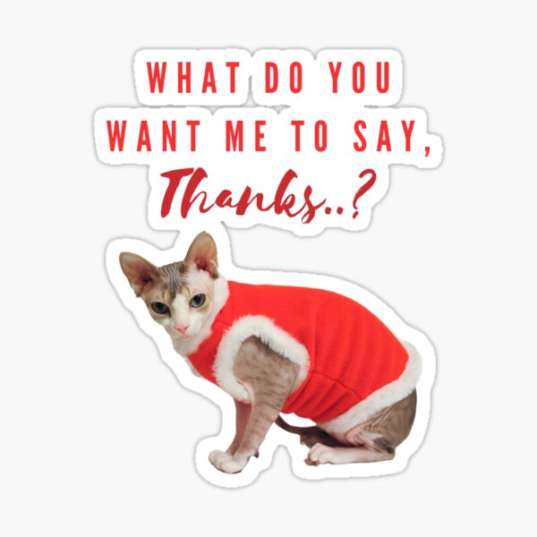"Funny cat captions" Sticker for Sale by rarebyanjalika Redbubble