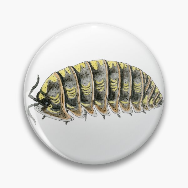 Item preview, Armadillidium Versicolor- "Ukraine" locality designed and sold by paintedpansy.
