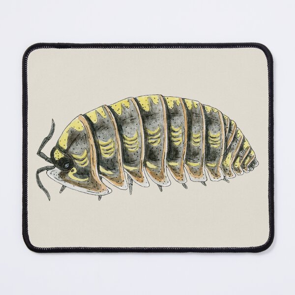 Item preview, Armadillidium Versicolor- "Ukraine" locality designed and sold by paintedpansy.